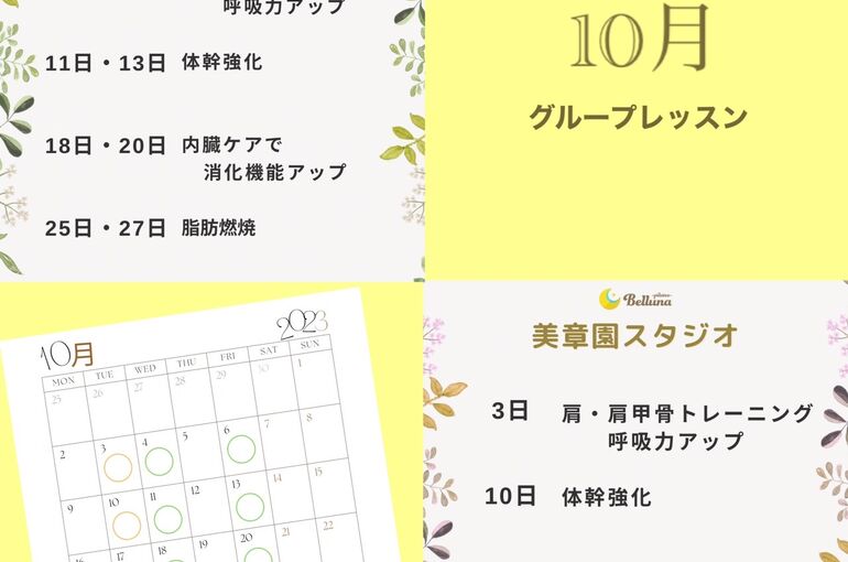 新着情報